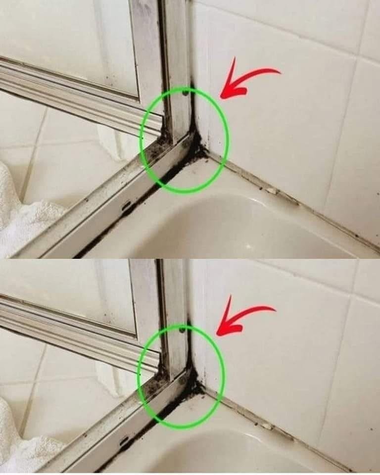 The fastest way to get rid of silicone mold in the shower