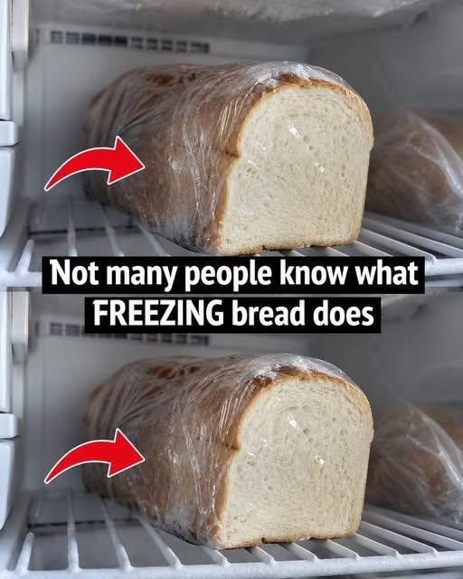 Freezing bread can preserve freshness, but improper storage causes dryness.